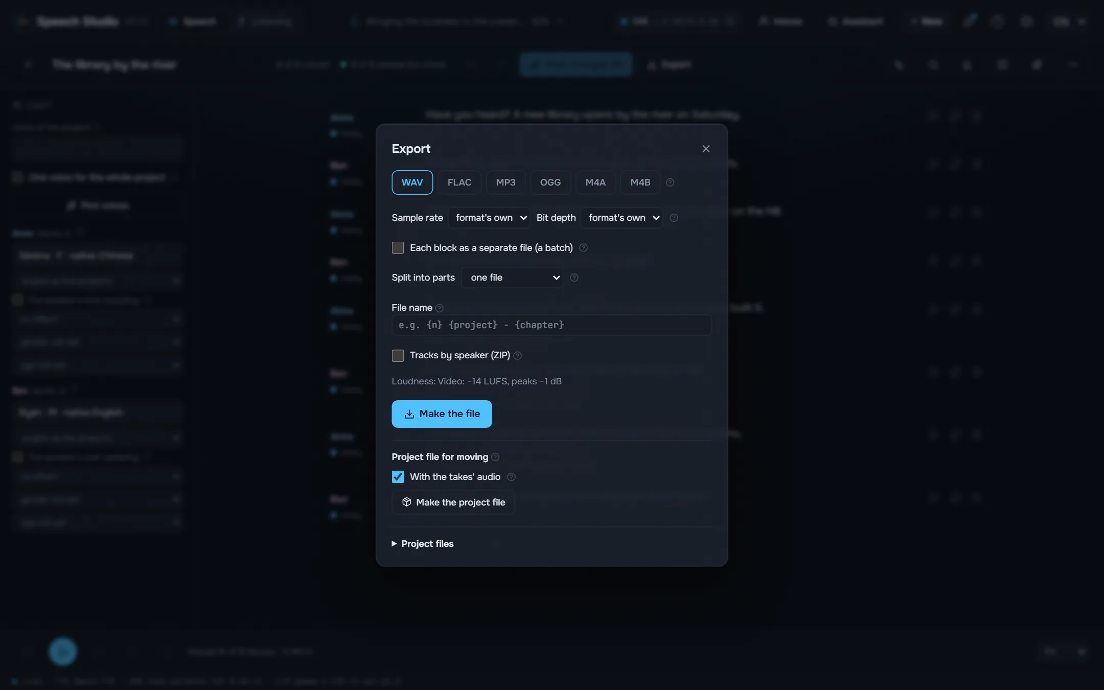 Export: formats, loudness, chapters and subtitles.