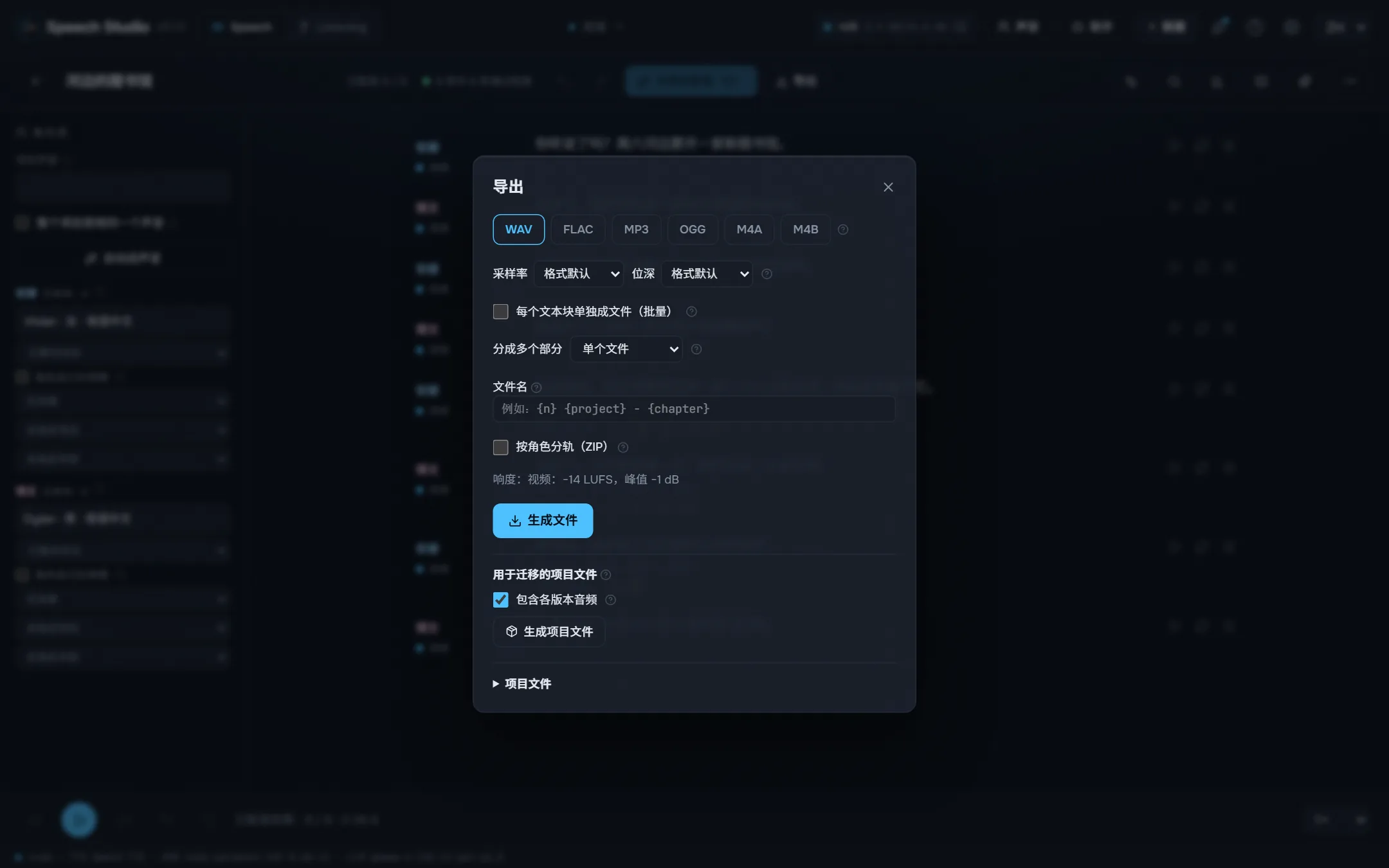 导出:格式、响度、章节和字幕。